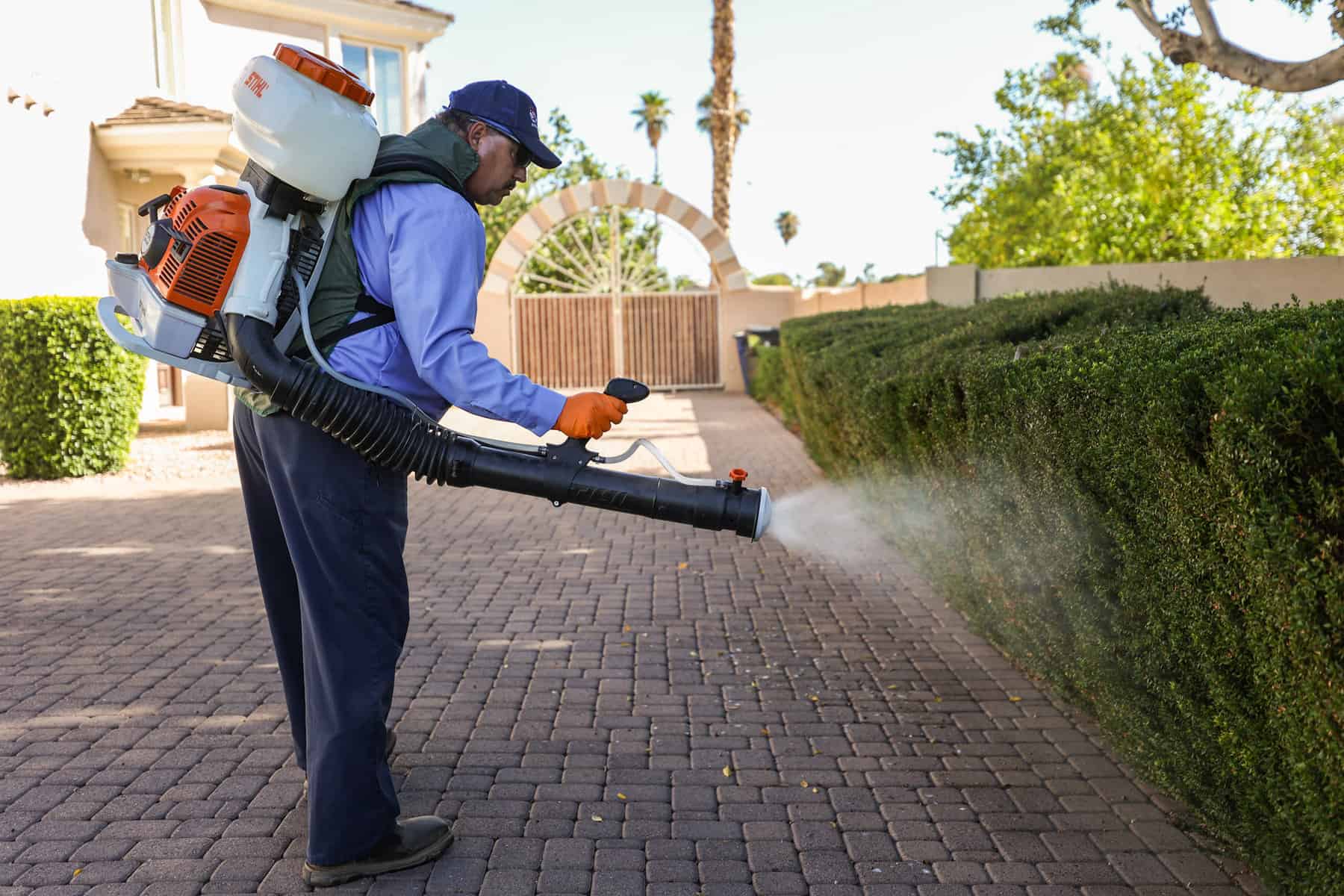 Man spraying bush with mosquito repellent