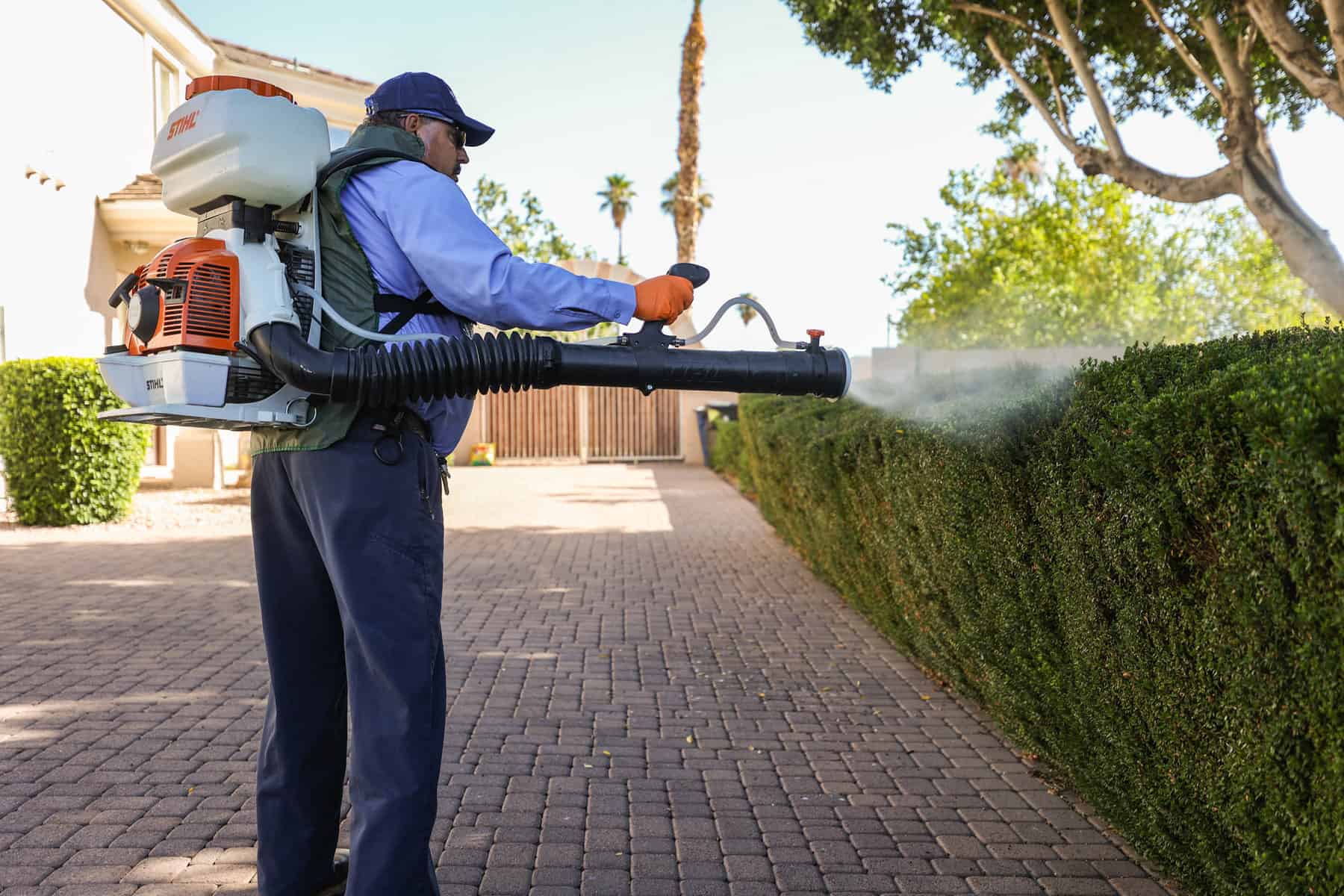 man sprays bush with mosquito spray