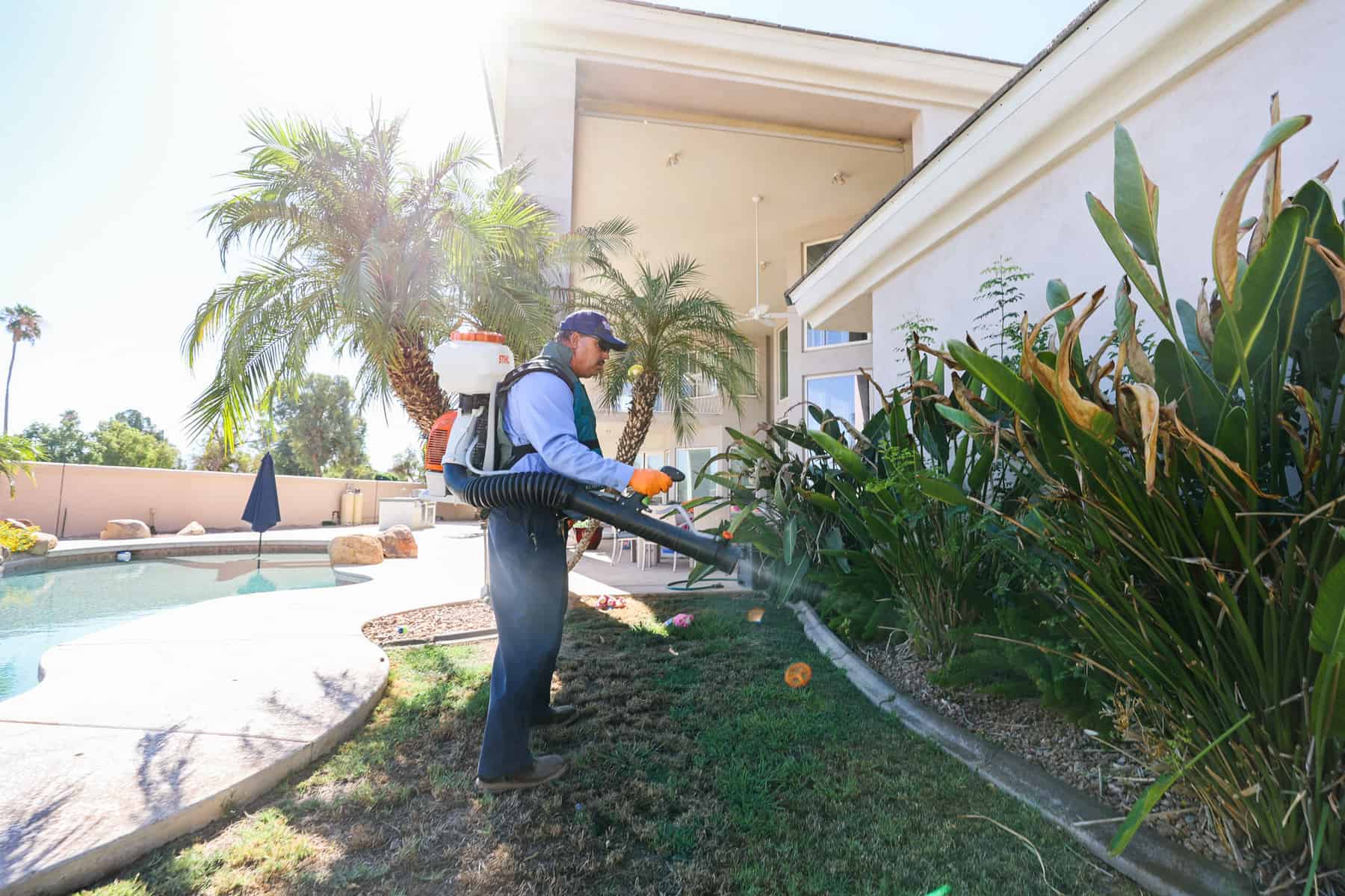 man sprays bush with mosquito repellent