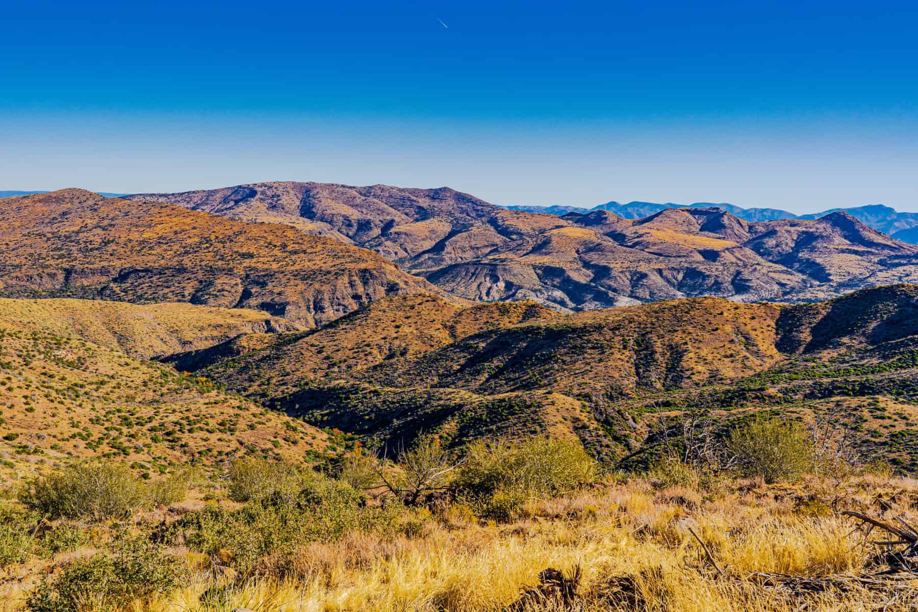 A beautiful shot of the high desert landscape in the Arizona wilderness