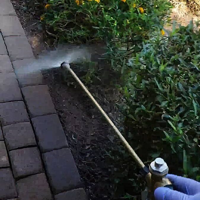 Spraying Pesticides in Landscaping Near Home